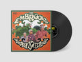 The Embrooks - Fragments Of Yesterday (LP/CD) (pre-order)